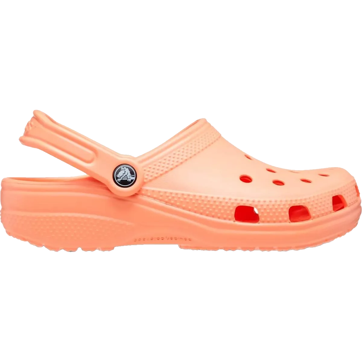Classic Clog